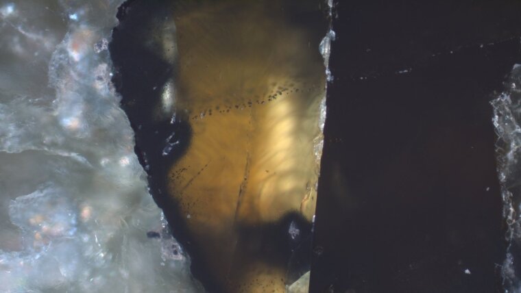 mikroskopische Aufnahme von Fluideinschlüssen in Sphalerit