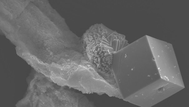 REM-Aufnahme eines Pharmakosiderit-Würfels mit Scorodit-Nadelaggregat und As-reicher Eisenphase