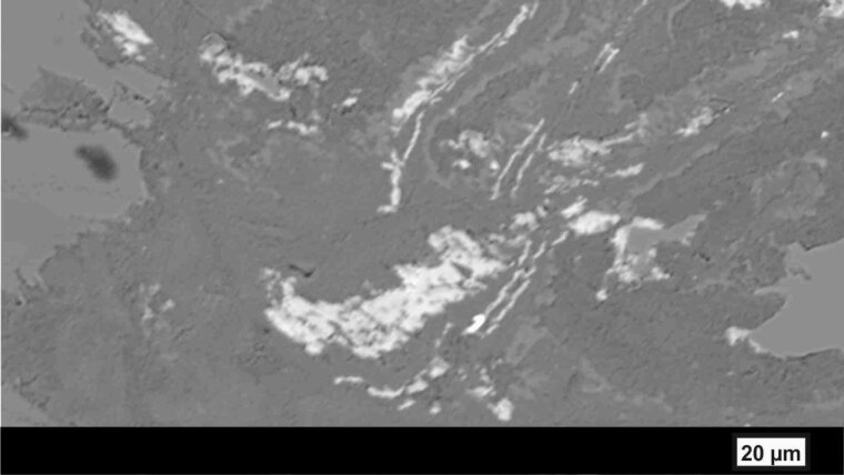 Rückstreuelektronenbild (BSE) des neuen Minerals Parahibbingit