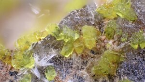 Blassgelbe Kristalle des Uranylcarbonats Agricolait