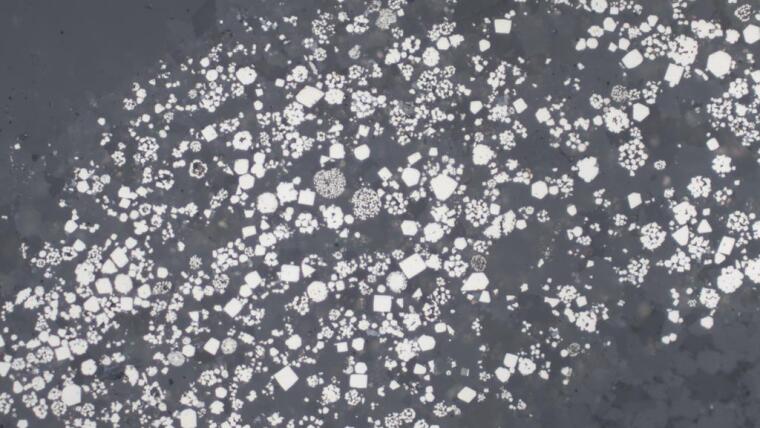 Mikroskopische Aufnahme von framboidalem sowie rekristallisiertem idiomorphen Pyrit