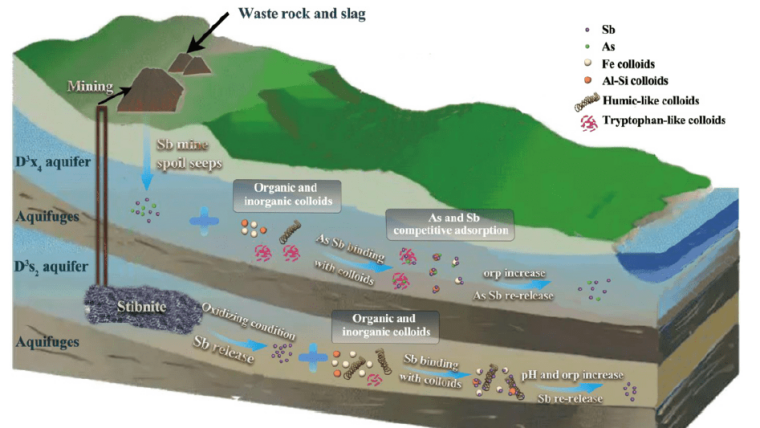 Graphical abstract for the publication