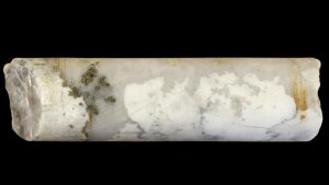 Drill core with carbonates (white), quartz (pale, transparent), and pyrite (yellow, metallic), a by-product of conversion of the rocks to talc.